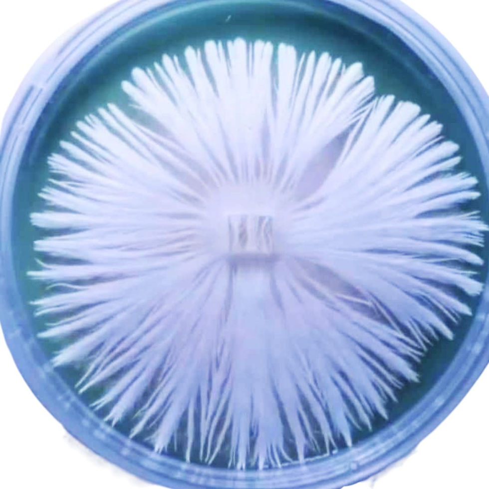 Thumbnail: Agar Pre-Mix (MEA)