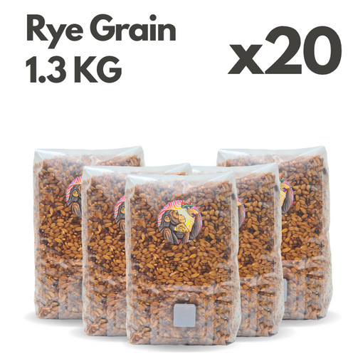 1KG Rye Grain Bags BULK PRICE x 20 | Curious Ape Mushroom