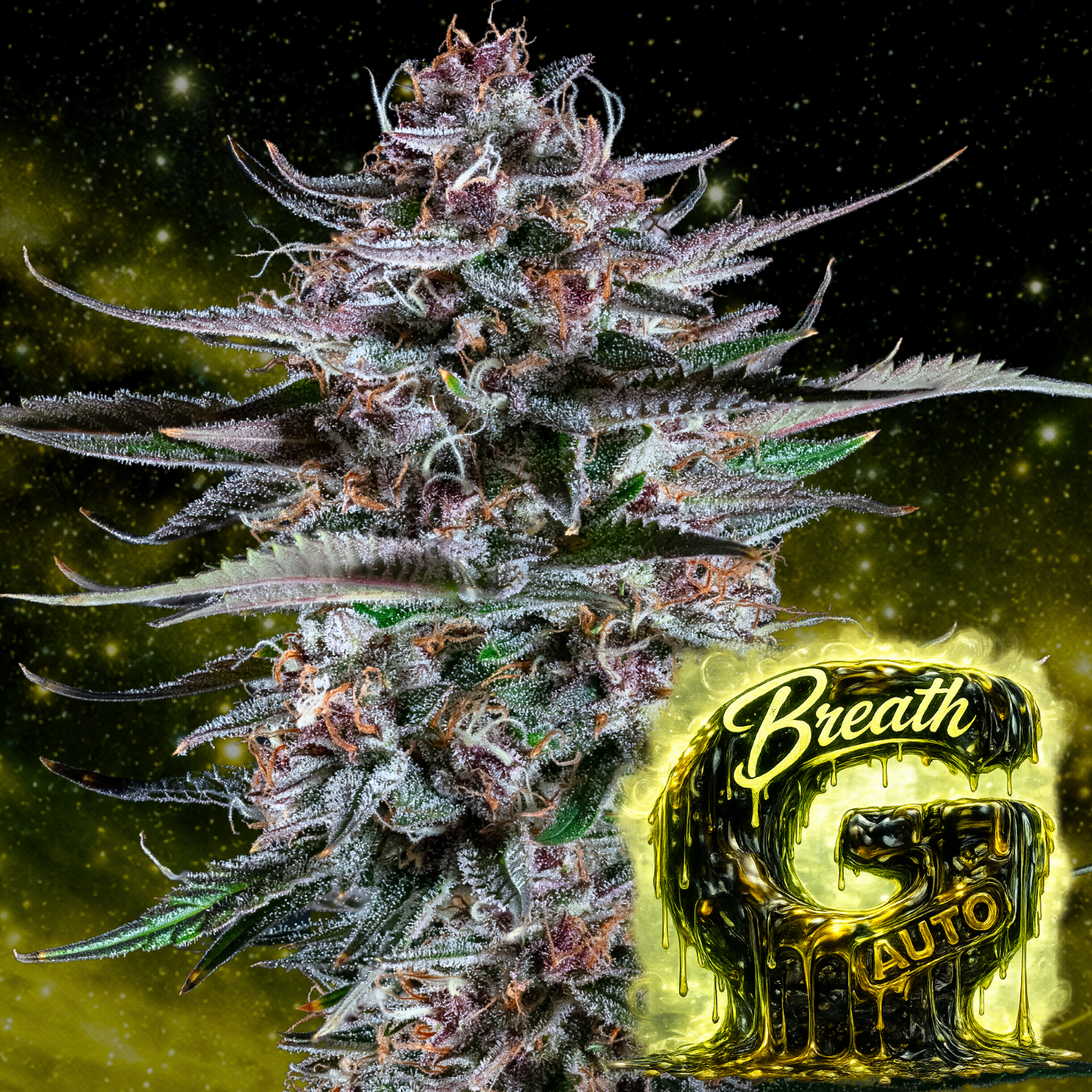 G Breath Auto