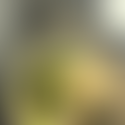 Mein Allrounder Pesto