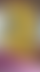 Links: Mein erster gekaufter Panettone (Sizilianer, Klassisch mit Orangenat & Rosinen) Rechts: Pane