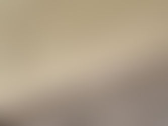 מיטת דבורים: כיצד היא משפיעה על מערכת העצבים והסטרס הכרוני