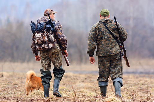 Hunters And Dog