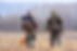 Hunters And Dog