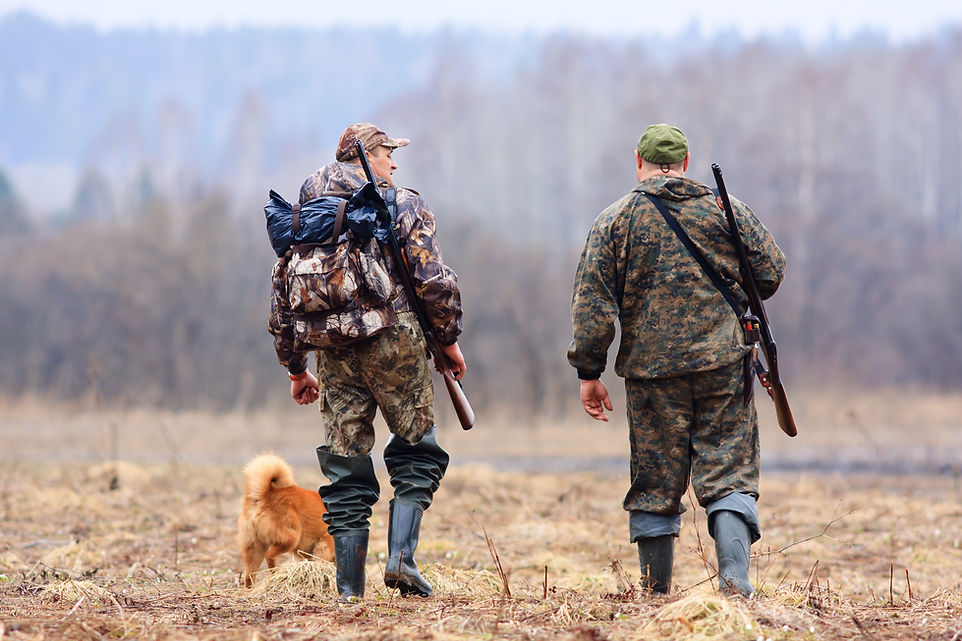 Hunters And Dog