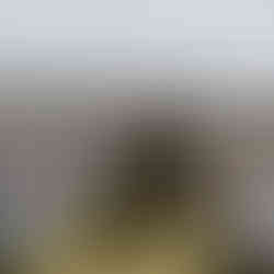 Groomsmen walking with grandmas arm in arm as they throw flower petals down the aisle. Guests sat watching on with cloudy sky.