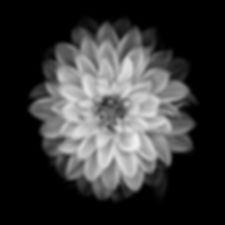 Farnesol