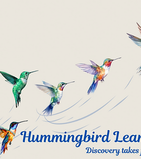 hummingbird .png