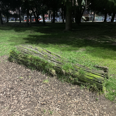 Una escritora de párrafos              