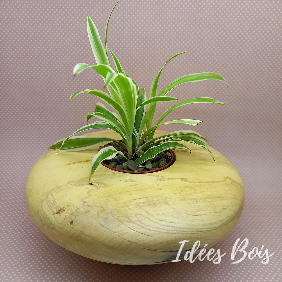 Pot à plante en Noyer