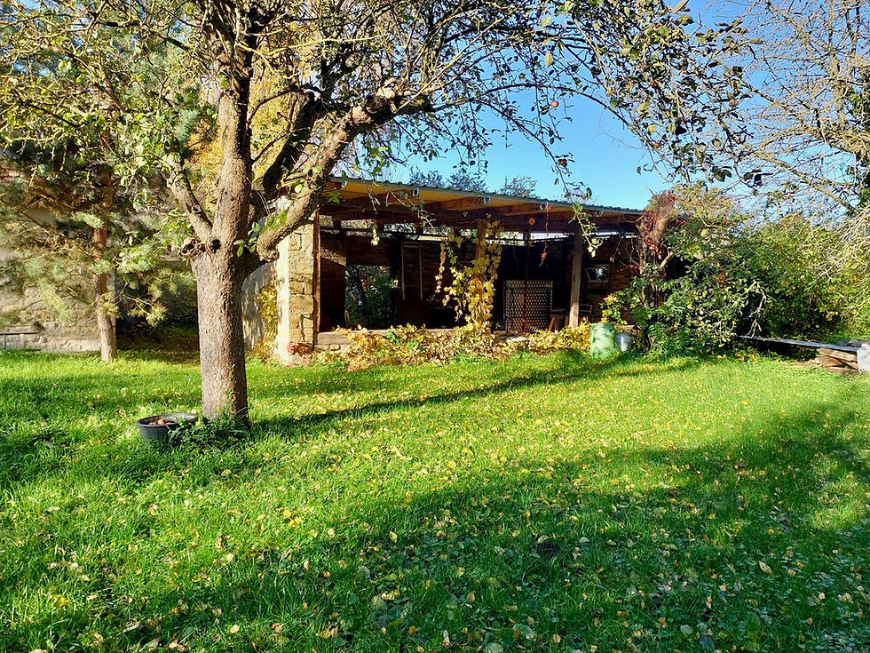 AUSZEIT FÜR DICH - Ashtanga Yoga Wochenende für Frauen