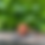 Thumbnail: INCENSE STICKS