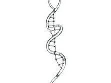 Scientists sequenced the oldest Egyptian DNA