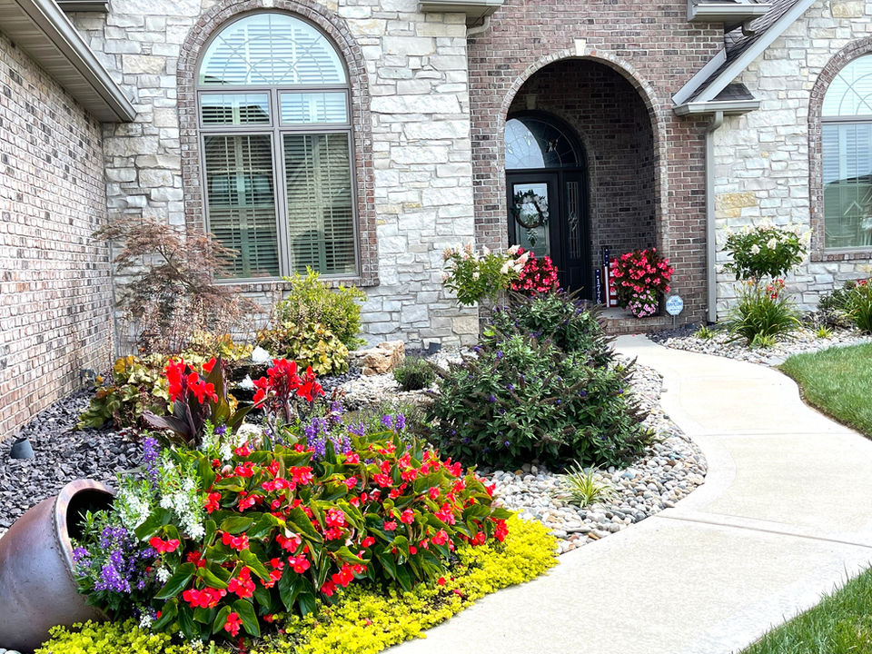 Tropical Landscaping Plants