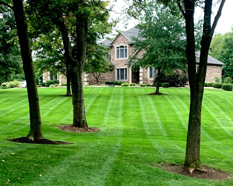 Large Professionally-Mowed Lawn and Home