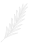 vecteezy_line-art-leaf_9662245_edited.png