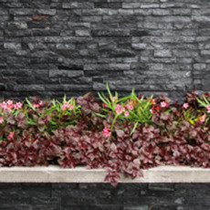 Su belleza atemporal, durabilidad y versatilidad hacen que sea la elección perfecta para pisos y muros. Conecta con la naturaleza, añade valor a tu espacio y disfruta de su resistencia. Escoge entre una gran variedad de productos en piedra natural para renovar tu proyecto y fachadas de tu hogar. Apoya tu decisión de compra entre todas las muestras de piedra natural que contamos en nuestro showroom.