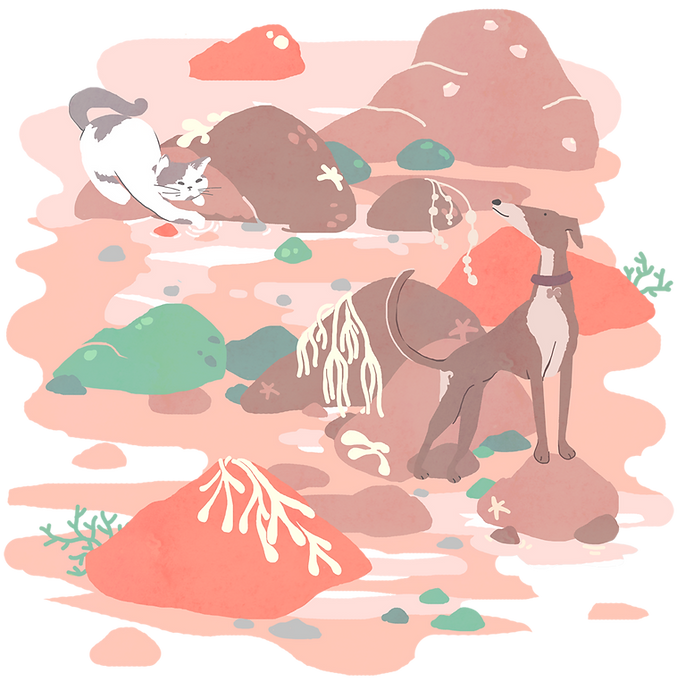 BeachIllustration2.png