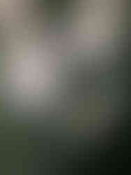 Bull Point Estate, Bull Point Estate Weddings, Nova Scotia Weddings, South Shore Weddings, Bridal Hair and Makeup, Makeup Artist near Bull Point Estate, Hugh Whitaker Photography, Yours for the Day, Coastal Wedding Inspo, Ballerina Bun Bridal Hairstyle, Best Makeup Artist Halifax, Wedding Makeup Nova Scotia, Bridal Hairstylist Halifax, Wedding Hair, Bridal Hair and Makeup Team