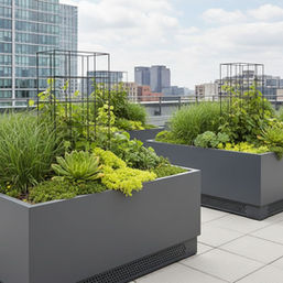 Designing resilient, stormwater-smart container gardens for windy urban roofs cover image