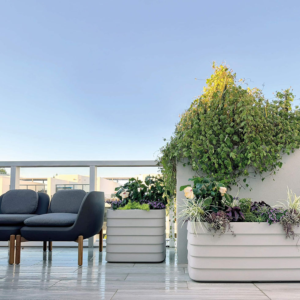 Miniature : Slat planters on balcony