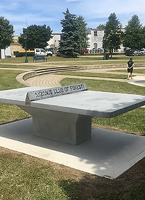 Ping pong table urban pot (1)-min.png