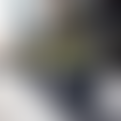 Metal Magic: Elevating Your Garden with Stainless Steel, Aluminum, and Corten Planters