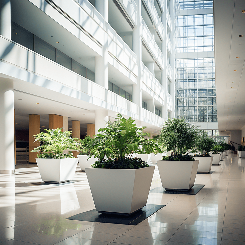 Modern atrium with large white planters filled with green plants. Sunlight streams through tall glass windows, creating a bright and airy space.