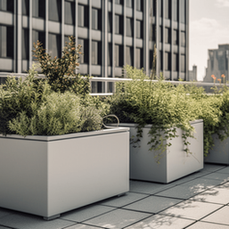 Grandes jardinières d'extérieur – Rehaussez votre espace urbain avec style et fonctionnalité