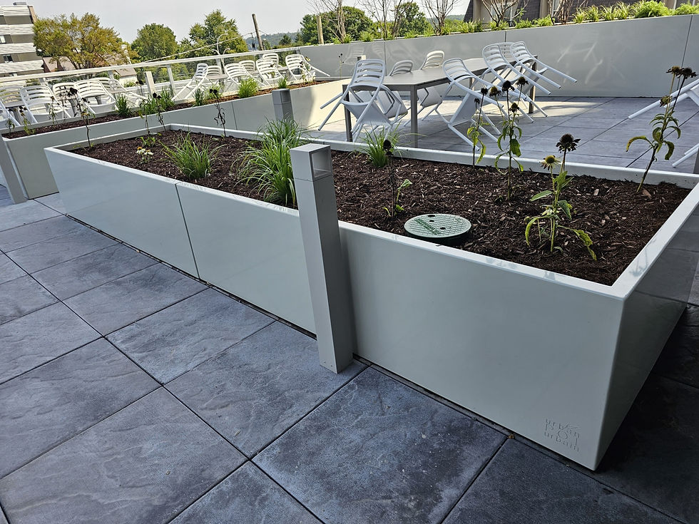 Jardinières monumentales en aluminium sur mesure pour la terrasse de toit des Appartements Éléonore à Gatineau.