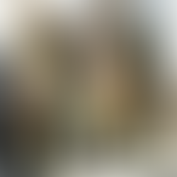 Exploring Privacy Planting Solutions: A Look at Tall Planters in Metal, Resin, Fiberglass, and Concrete for Designers and Architects