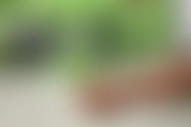 Importancia de crear un Círculo Sanitario Sostenible en Comunidades Rurales