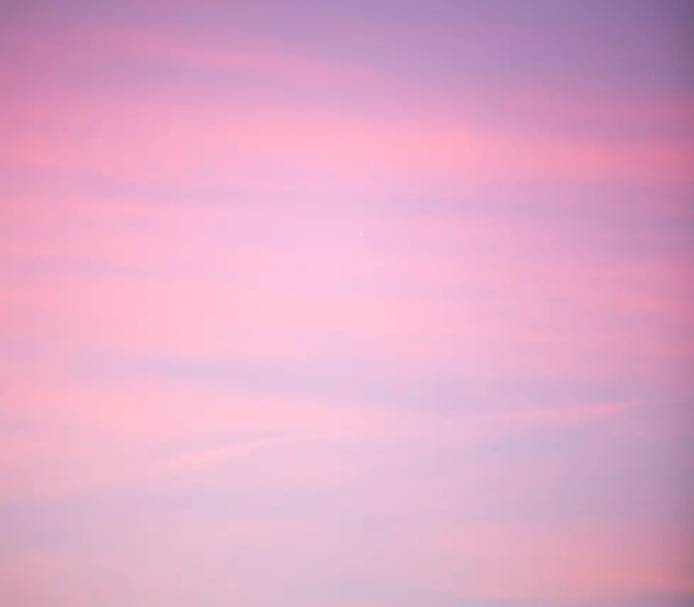 Home_Background_pink.webp