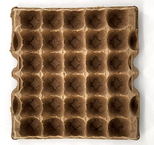 egg flat