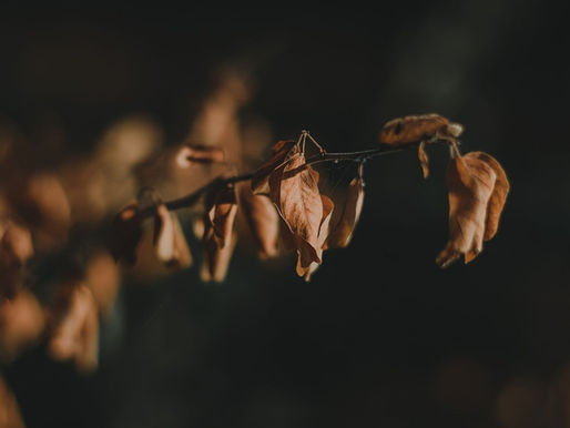 Your business has ended not failed