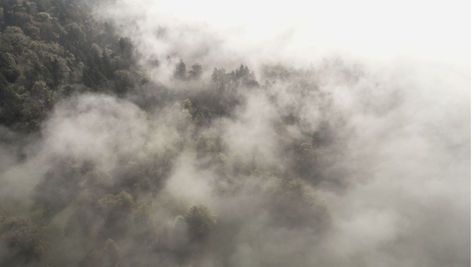 Homecoming got to me