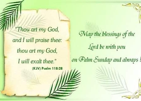 Happy Palm🌴 Sunday 🙏🏽