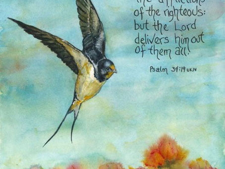 The Lord is near ❣️