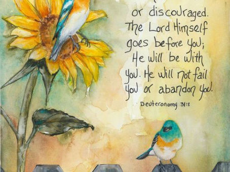 The promise to all believers ✝️💗