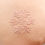 Thumbnail: Peach Petal Chikankari Cushion