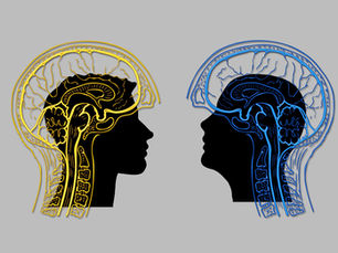 Il colloquio psicologico: tecniche e valutazioni