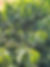 Fazenda cooperado João Paulo