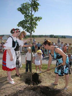 Oslavy výročí 630 let