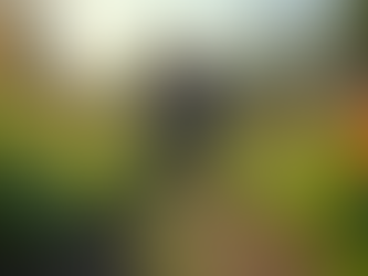 Showcase CSR Initiatives Through CSR Video Production