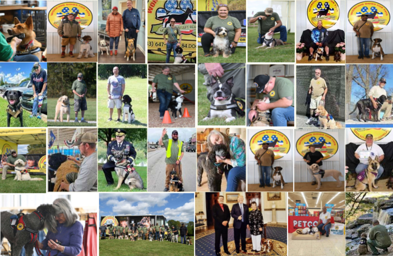 final report pg20.png