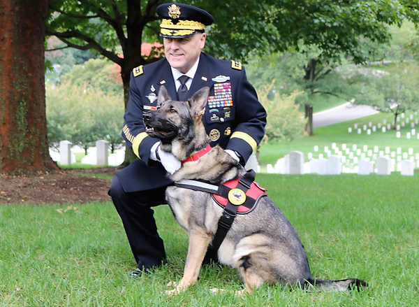 General Mark A Milley Working Dogs For Vets