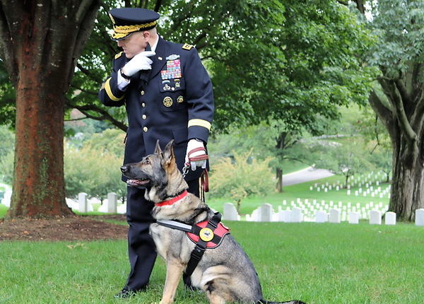 United States Army General Mark Milley Working Dogs For Vets Joint Chiefs of Staff