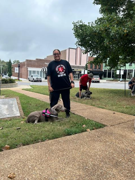 Close-up view of a service dog wearing a harness during a training session