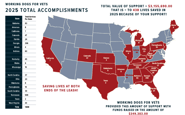 Final Report pg2.png