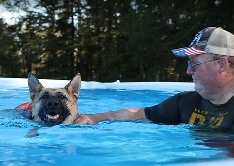 Service dog